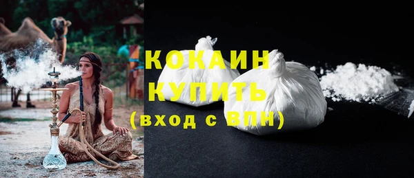 PSILOCYBIN Верхний Тагил