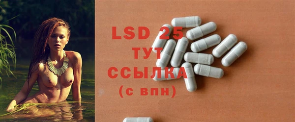 PSILOCYBIN Верхний Тагил