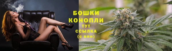 PSILOCYBIN Верхний Тагил