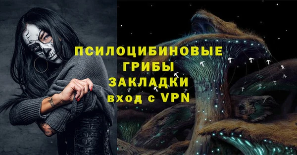 PSILOCYBIN Верхний Тагил