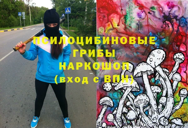 МДМА Бородино